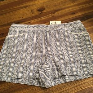 Loft Shorts NWT